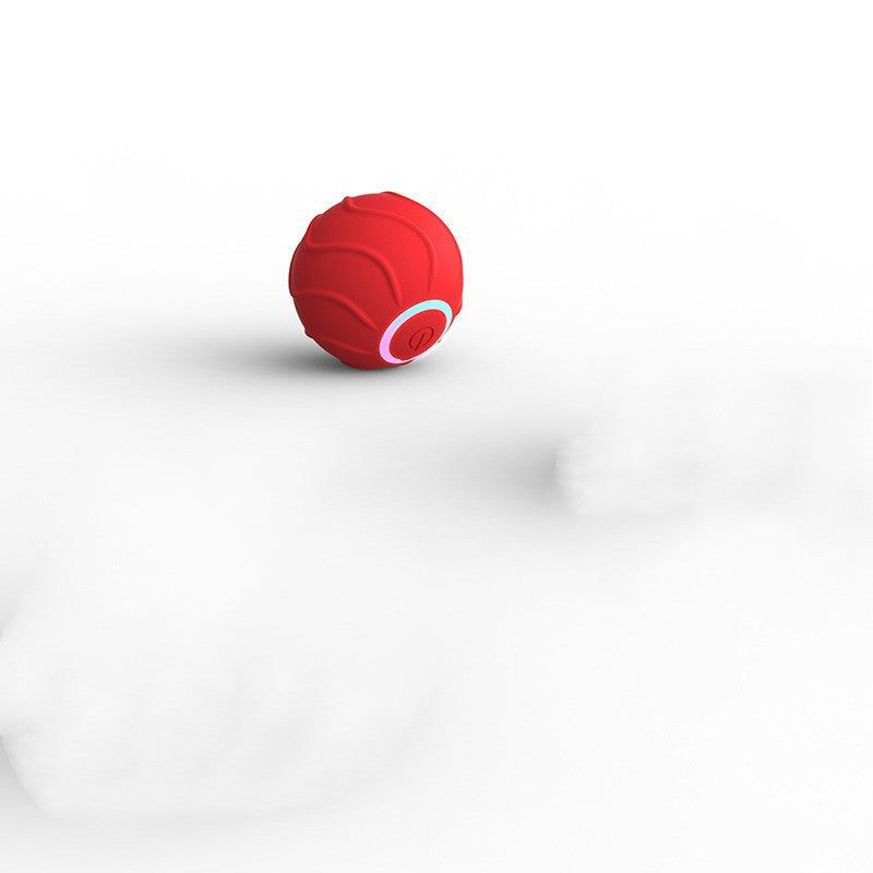 Interactive Motion Activated Rolling Ball Dog Toy