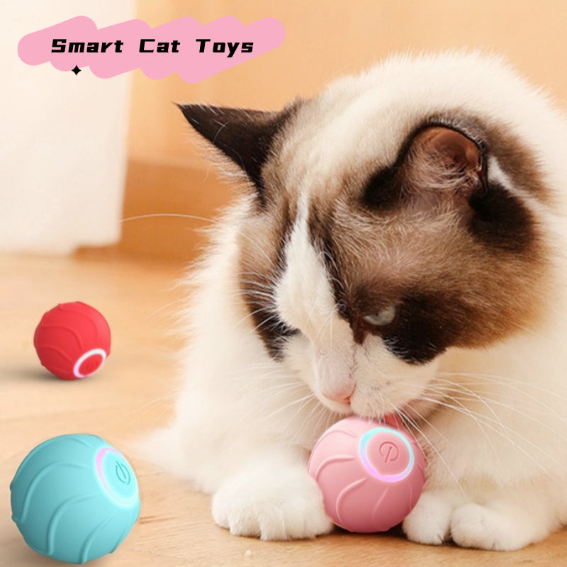Interactive Motion Activated Rolling Ball Dog Toy