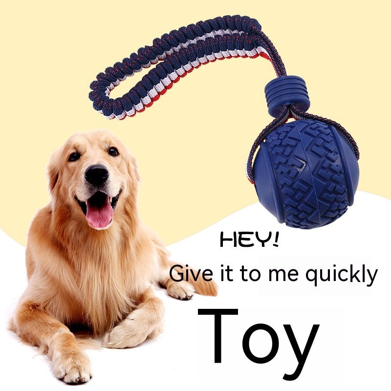 Rollraptor Interactive Pet Toy Ball