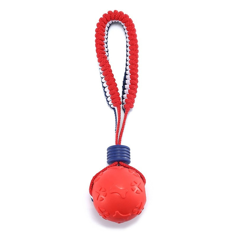 Rollraptor Interactive Pet Toy Ball