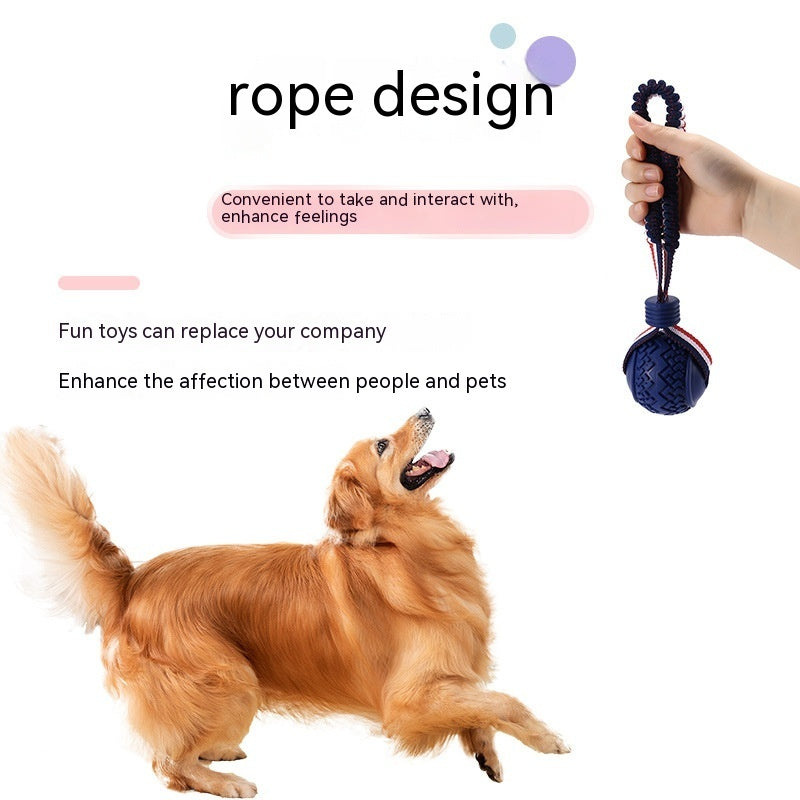 Rollraptor Interactive Pet Toy Ball