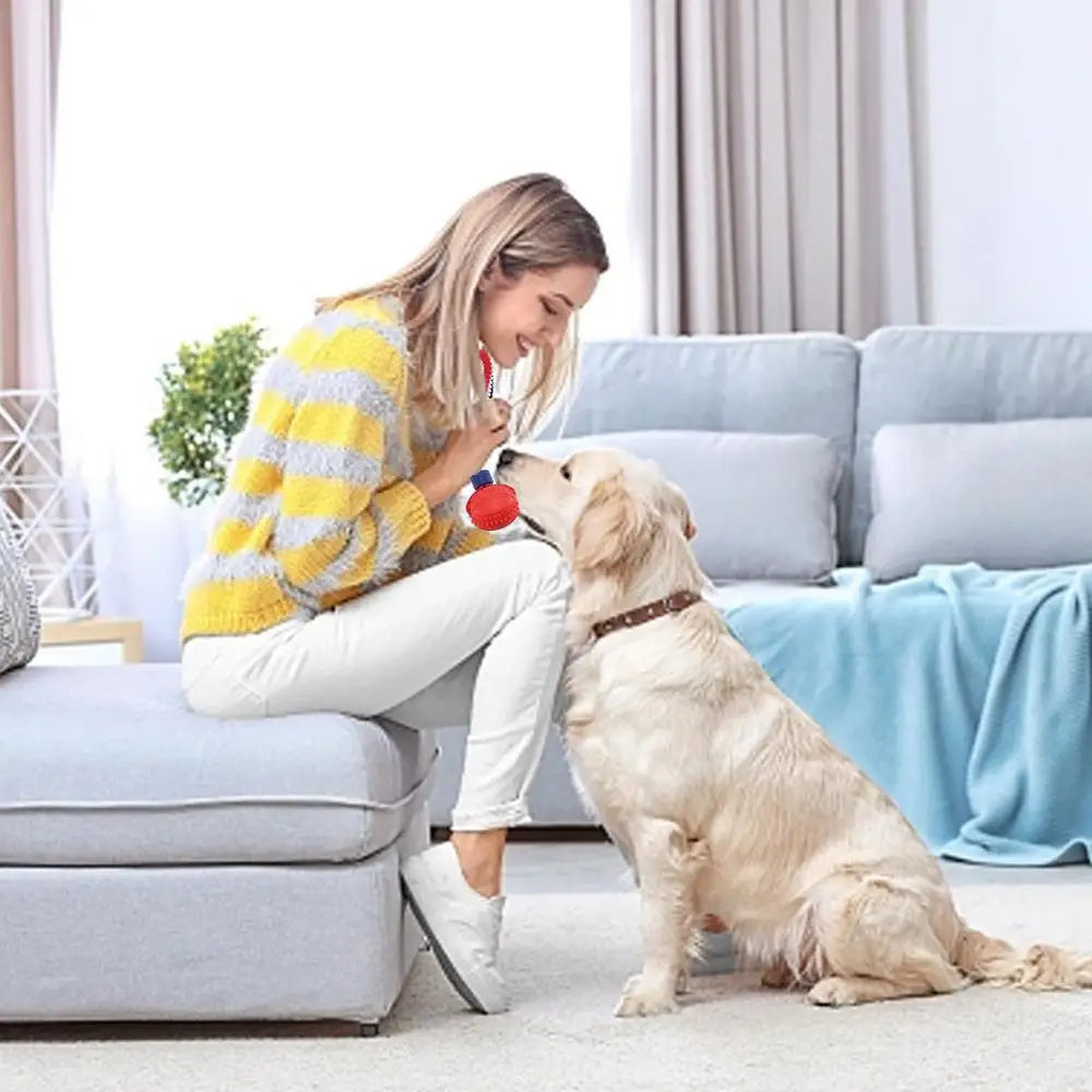 Rollraptor Interactive Pet Toy Ball